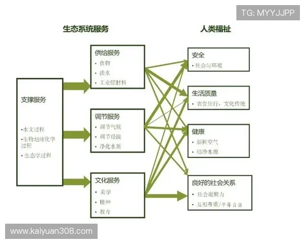 新濠国际平台：打造多元化娱乐生态系统的创新之路